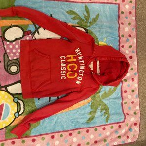 Hollister pink hoodie